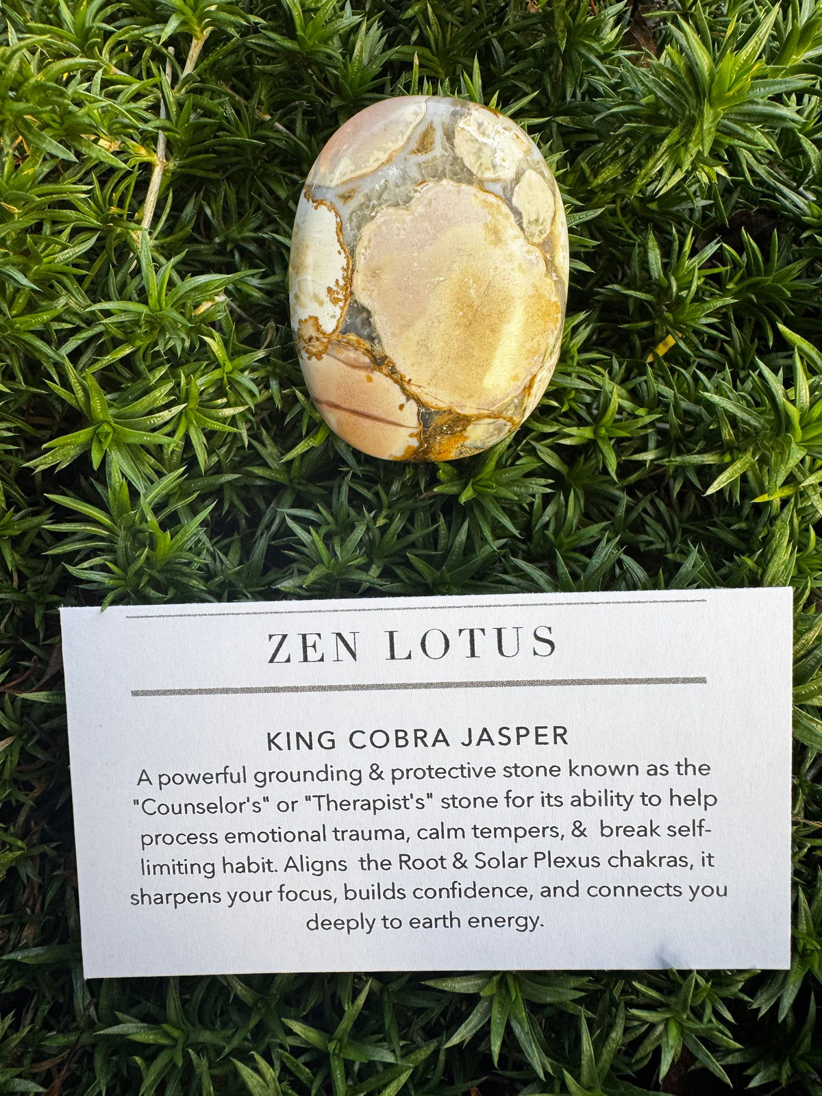 King Cobra Jasper Crystal Car Vent Clip