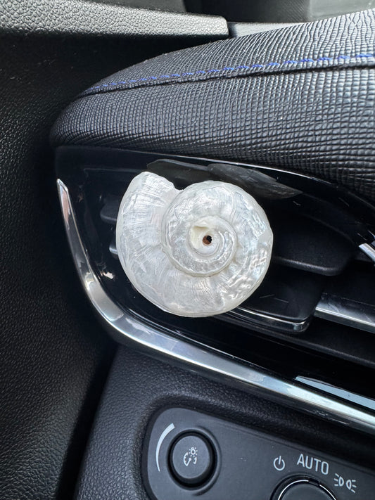 Pearled Dolphin Snail Shell Crystal Car Vent Clip