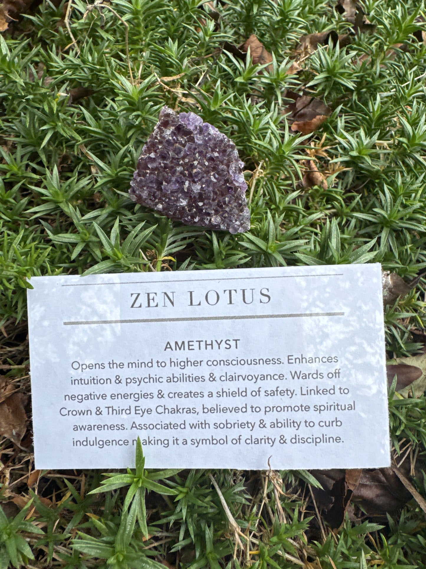 Amethyst Quartz Crystal Car Clip