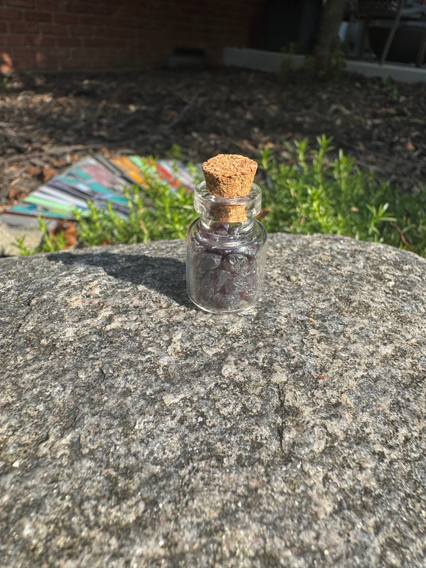 Crystal Wishing Bottle- Natural Garnet Chips