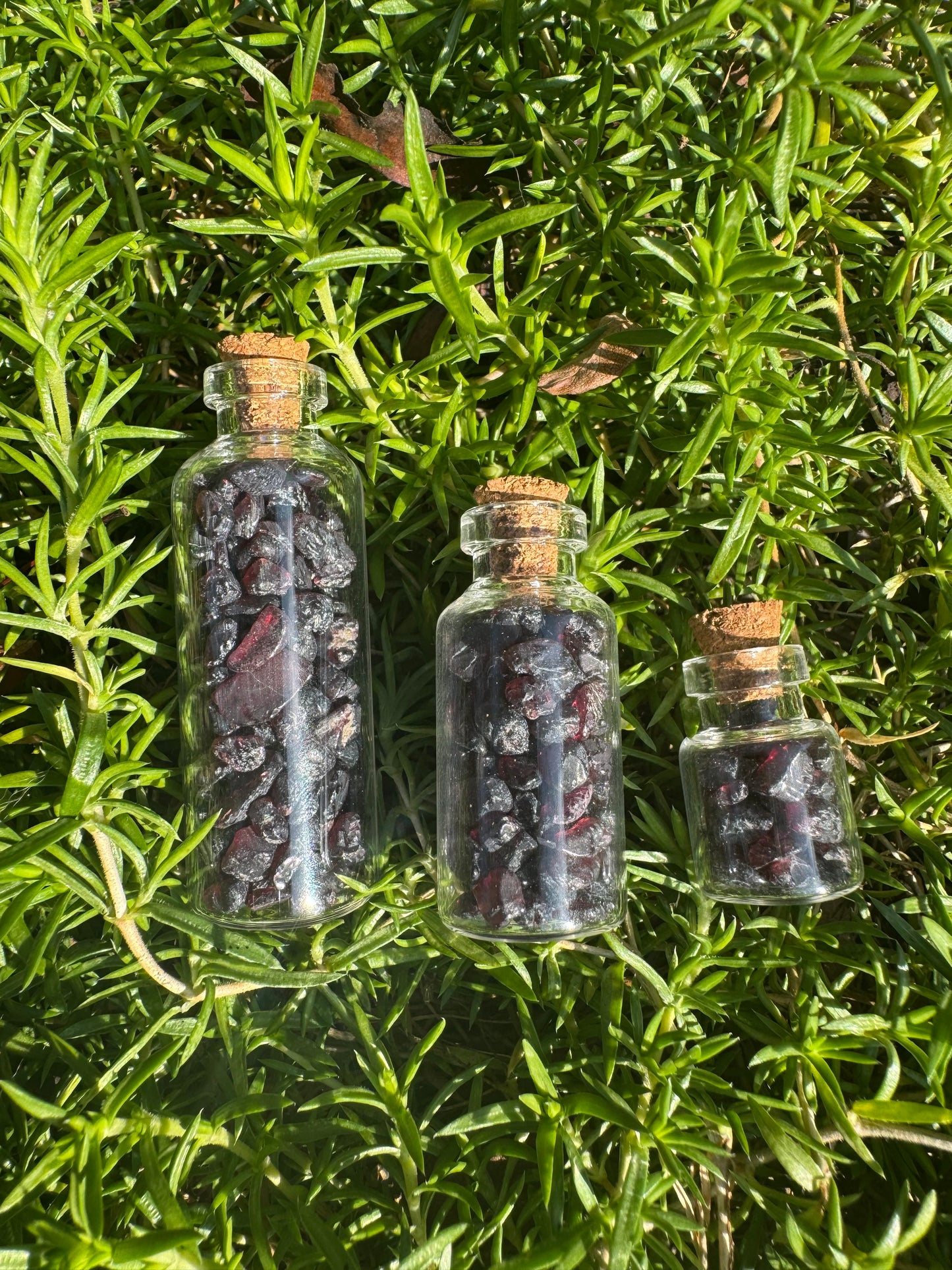 Crystal Wishing Bottle- Natural Garnet Chips
