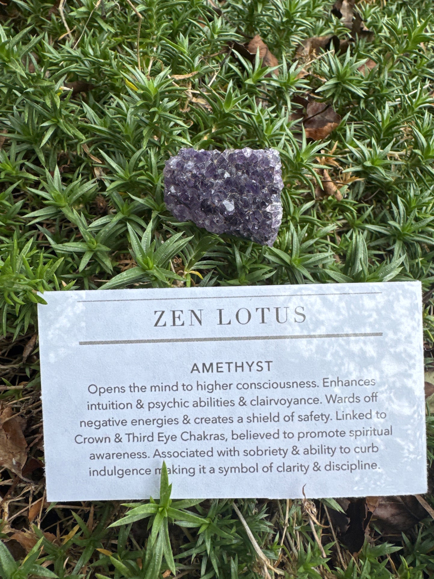 Amethyst Quartz Crystal Car Clip