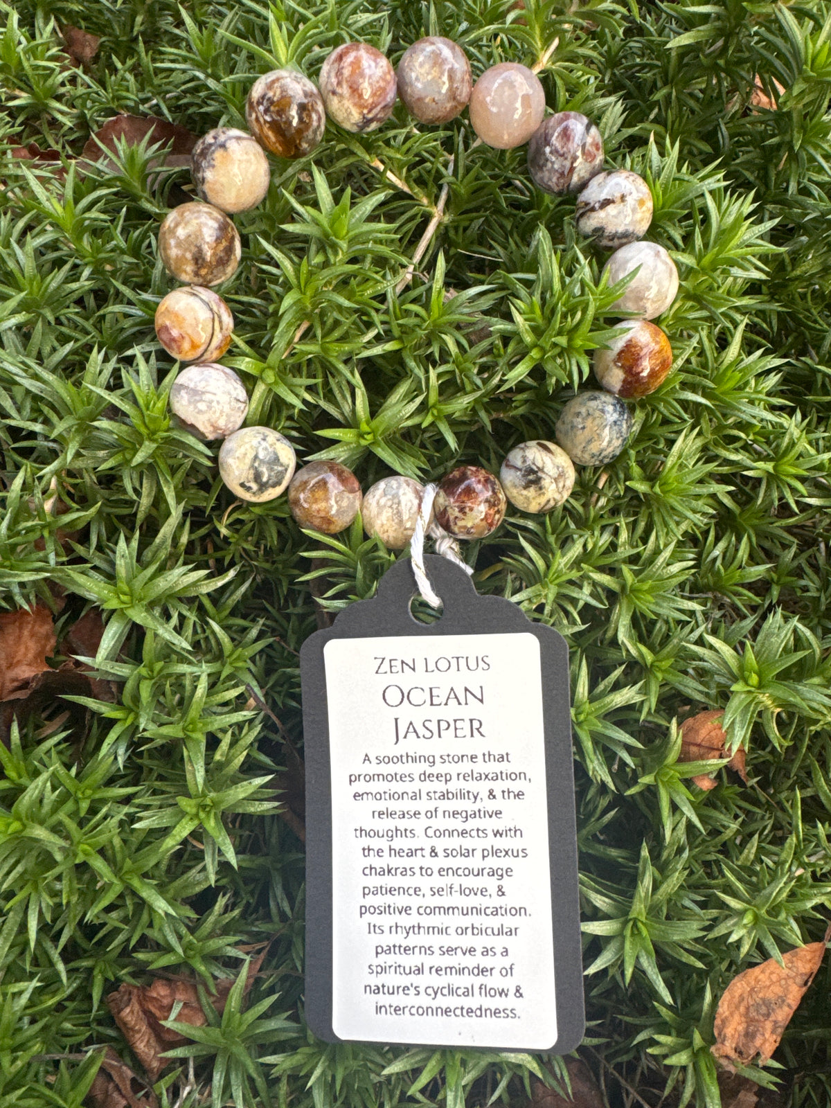 Ocean Jasper Natural Stone Bracelet 12mm stone