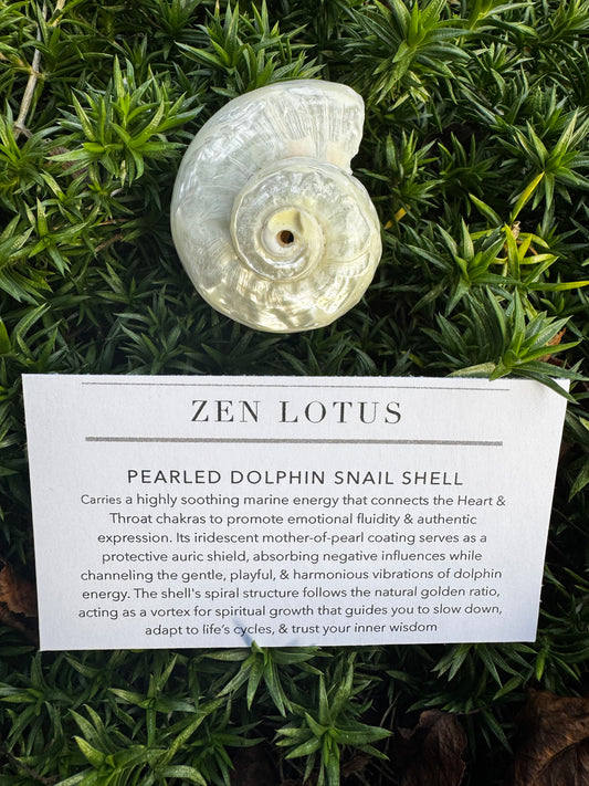 Pearled Dolphin Snail Shell Crystal Car Vent Clip