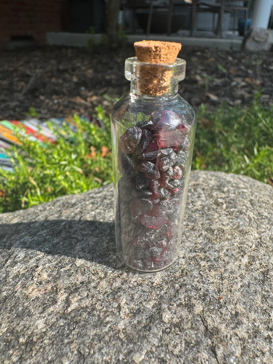 Crystal Wishing Bottle- Natural Garnet Chips