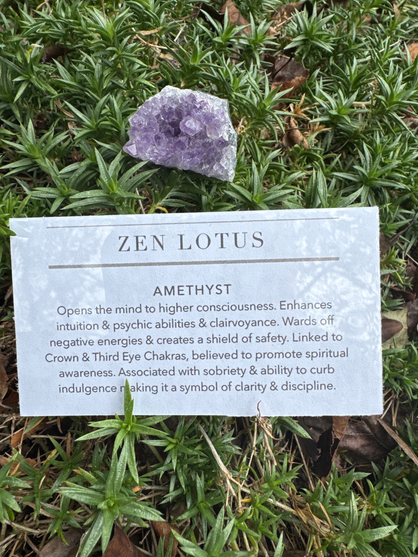 Amethyst Quartz Crystal Car Clip