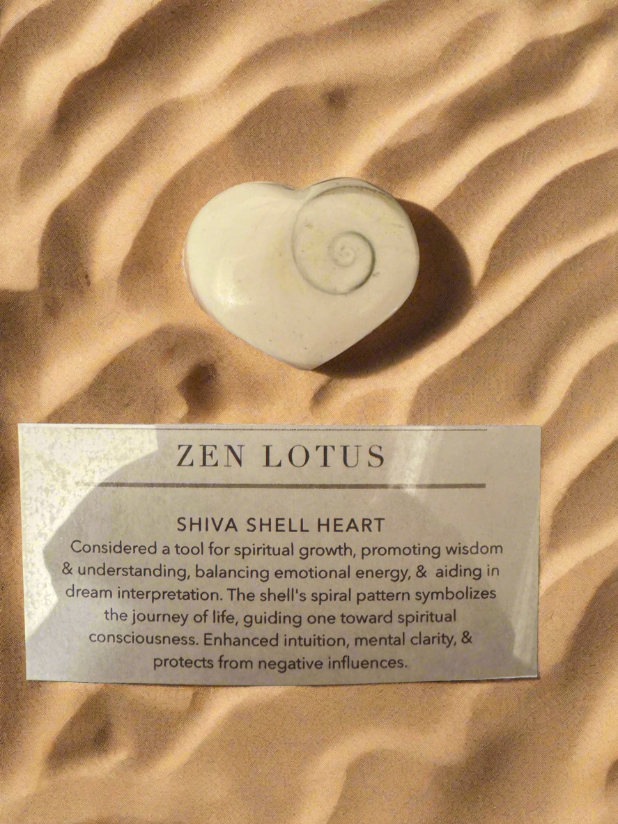 Shiva Shell Stone Heart
