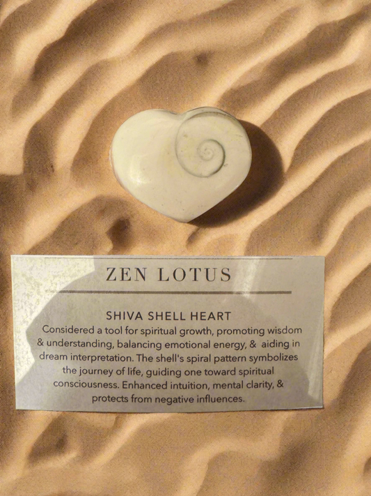 Shiva Shell Stone Heart