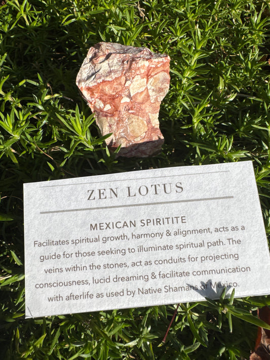 Mexican Spiritite Car Clip