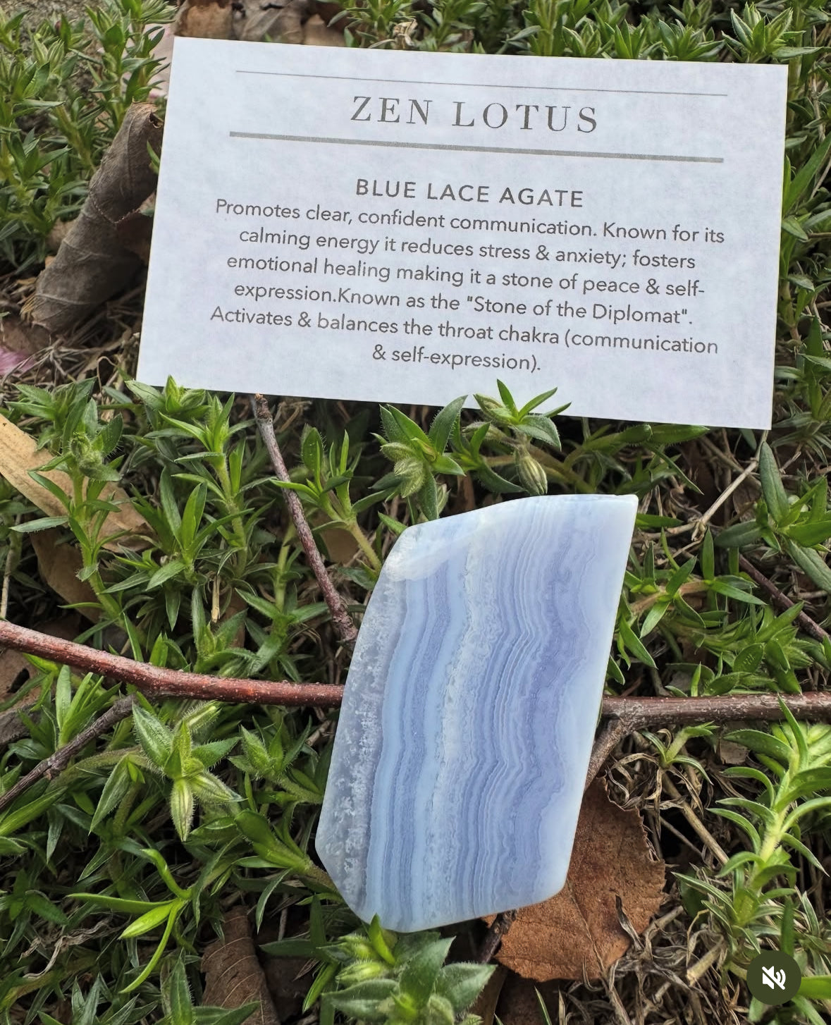 Blue Lace Agate Car Clip